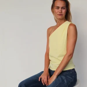 Asymmetrische top levy